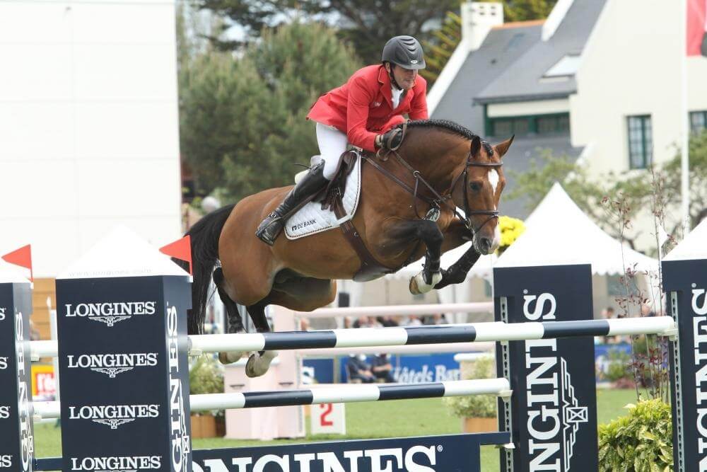 Rider bridling a horse